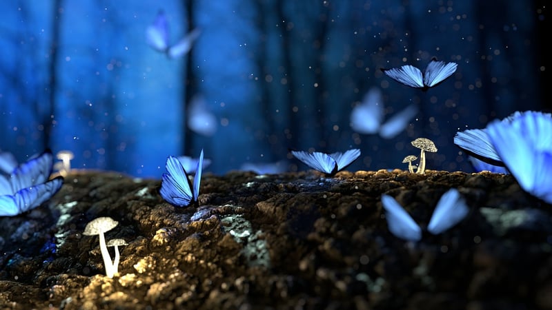 Enchanted Blooms