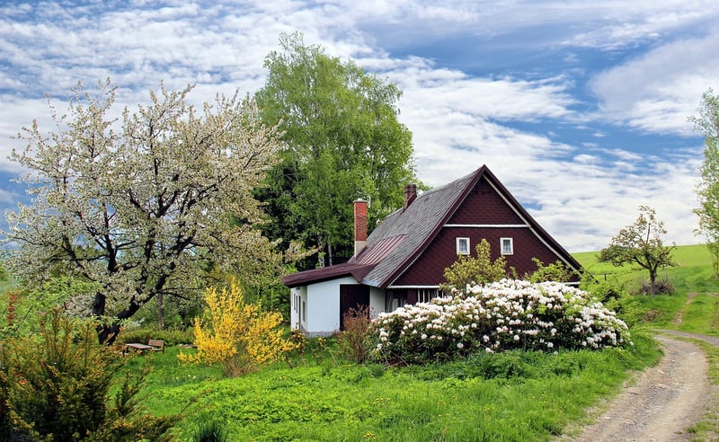 Cozy Cottage Garden Hideaway