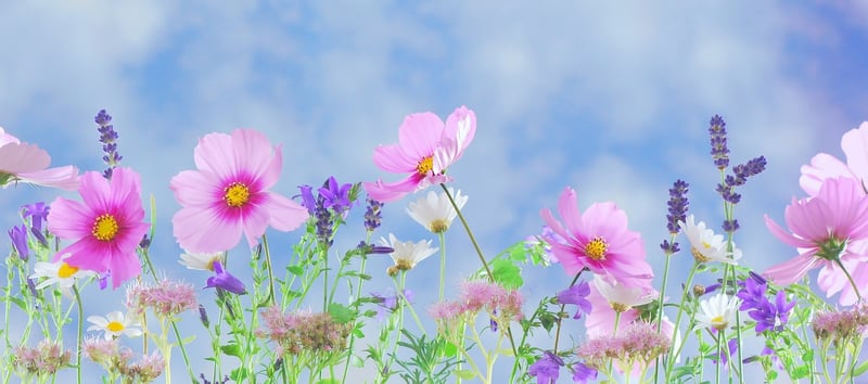 Whimsical Display