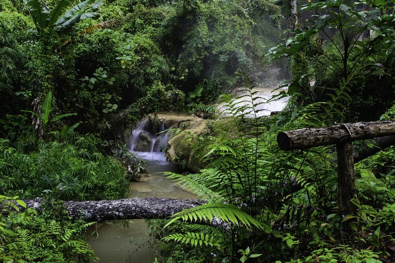 Secluded Waterfall Haven